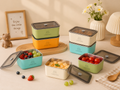 Mini steel lunch box