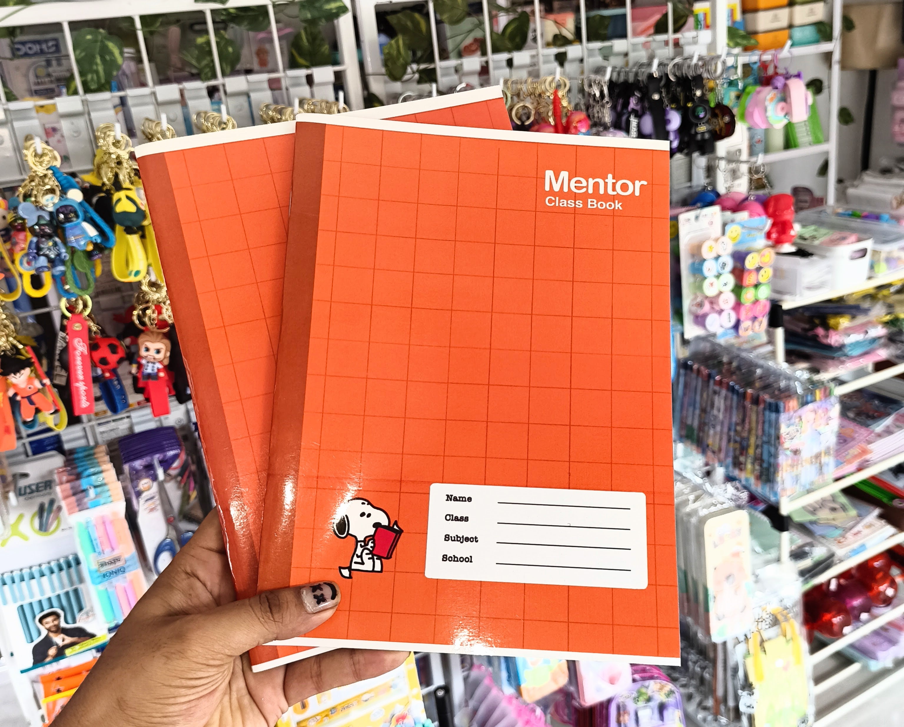 Mentor Jumbo Classbook & Name stickers | Pack of 6
